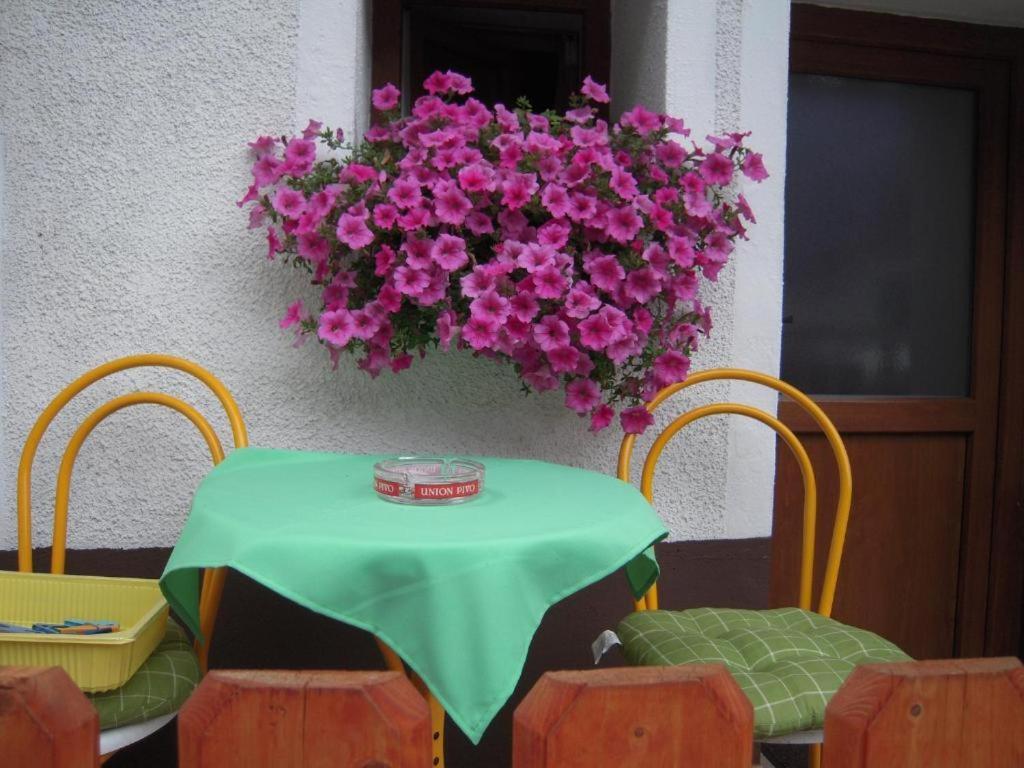 Apartmaji In Sobe Cuder Soča Dış mekan fotoğraf