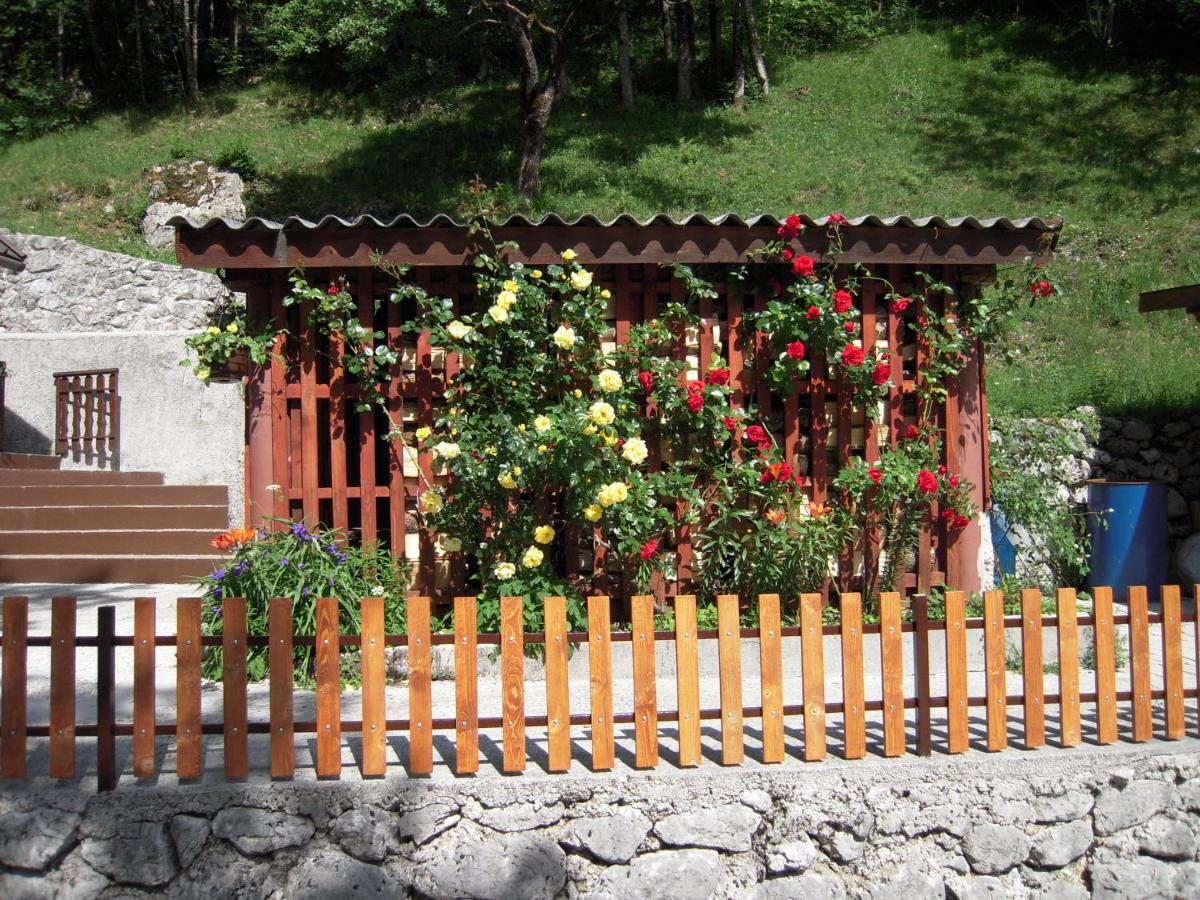 Apartmaji In Sobe Cuder Soča Dış mekan fotoğraf